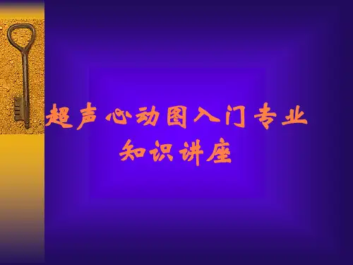 超声心动图入门专业知识讲座