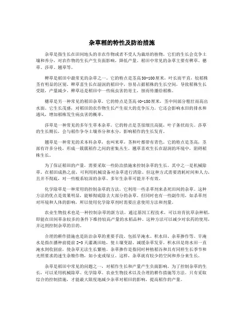 杂草稻的特性及防治措施