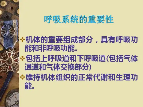 呼吸系统疾病总论
