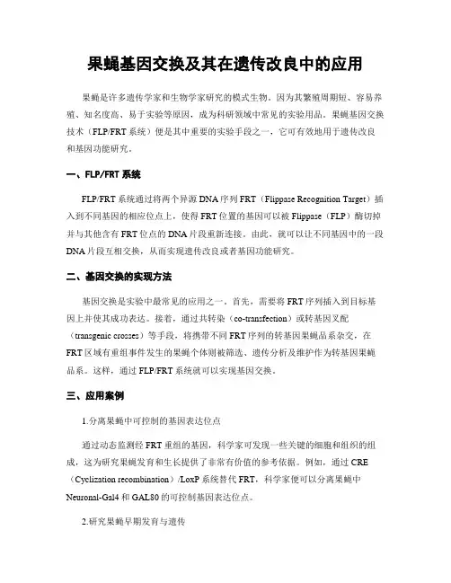 果蝇基因交换及其在遗传改良中的应用