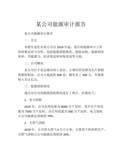 某公司能源审计报告