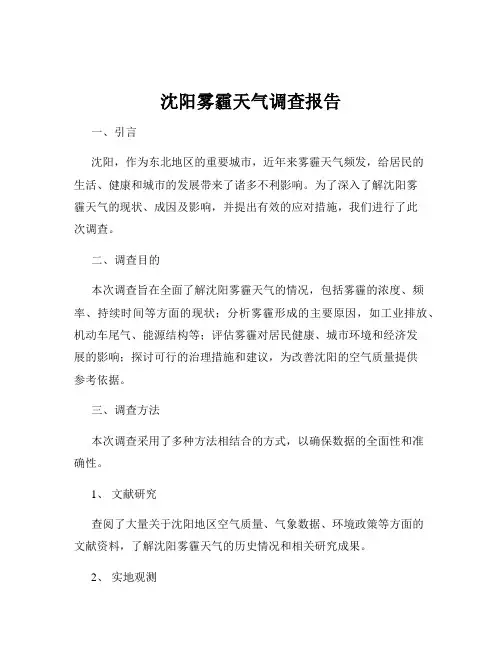沈阳雾霾天气调查报告