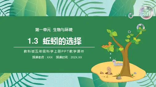 教科版五年级科学上册第一单元《生物与环境-蚯蚓的选择》PPT教学课件