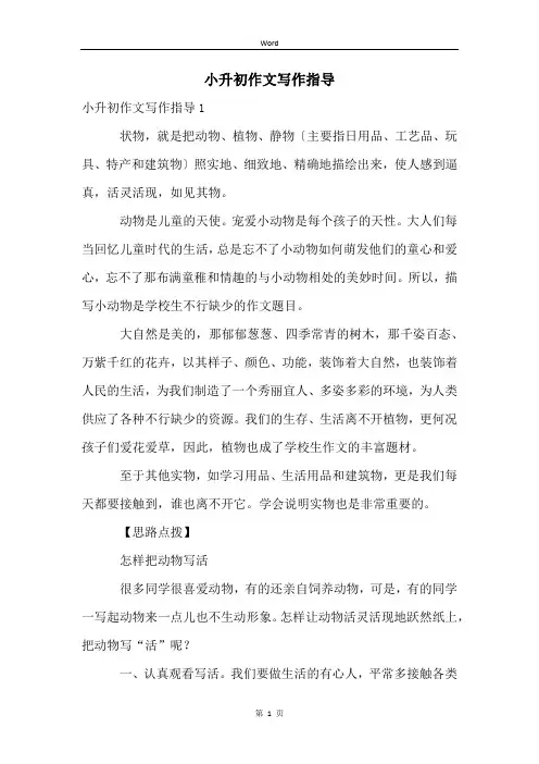 小升初作文写作指导
