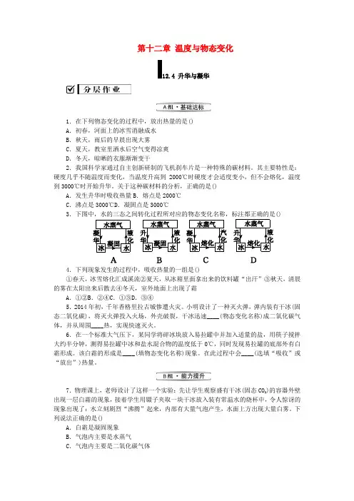 九年级物理全册第十二章温度与物态变化12.4升华与凝华分层作业(新版)沪科版