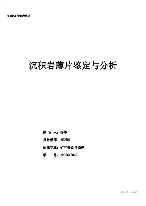 实验沉积学作业1
