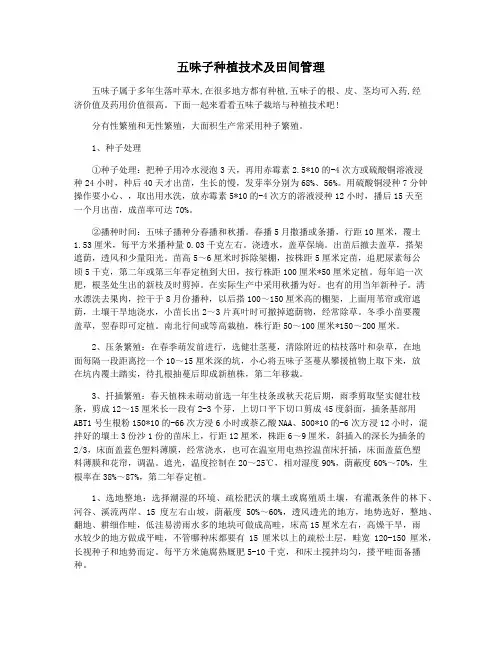五味子种植技术及田间管理