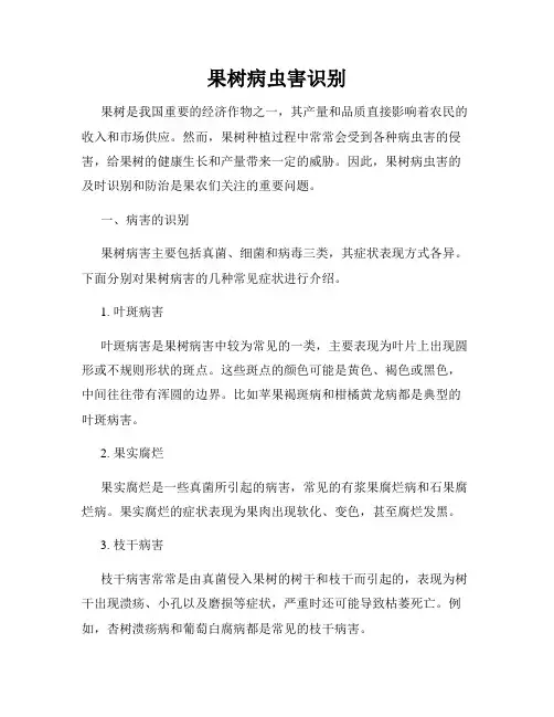 果树病虫害识别