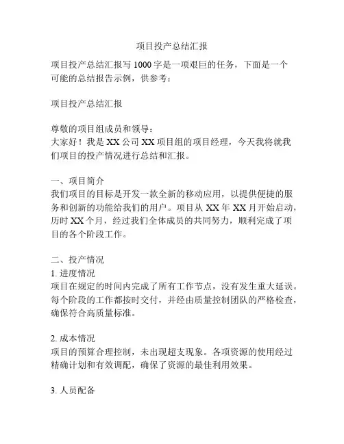 项目投产总结汇报