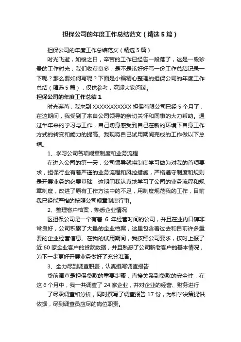 担保公司的年度工作总结范文（精选5篇）