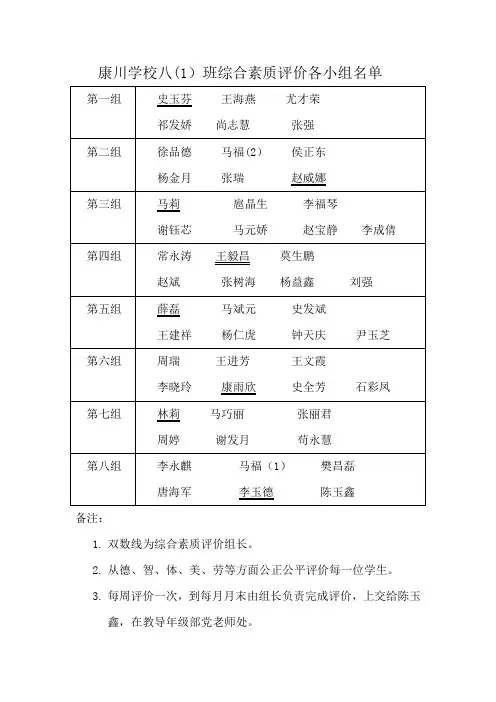 八一班综合素质评价