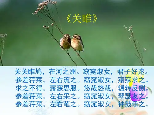 【精编】中小学精品课件《诗经》三首课件.ppt