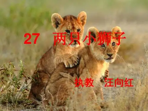 两只小狮子演示文稿课件.ppt