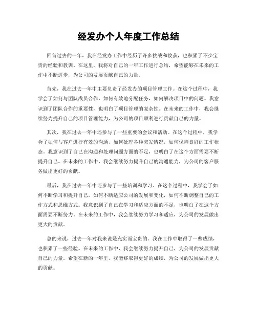 经发办个人年度工作总结