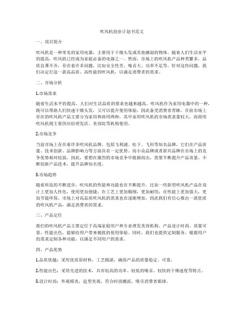 吹风机创业计划书范文