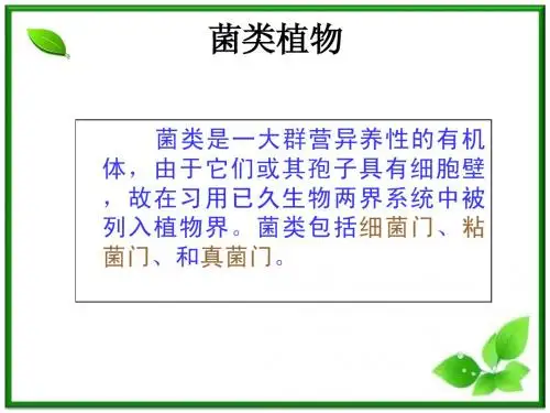 菌类植物1
