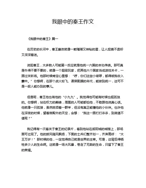 我眼中的秦王作文