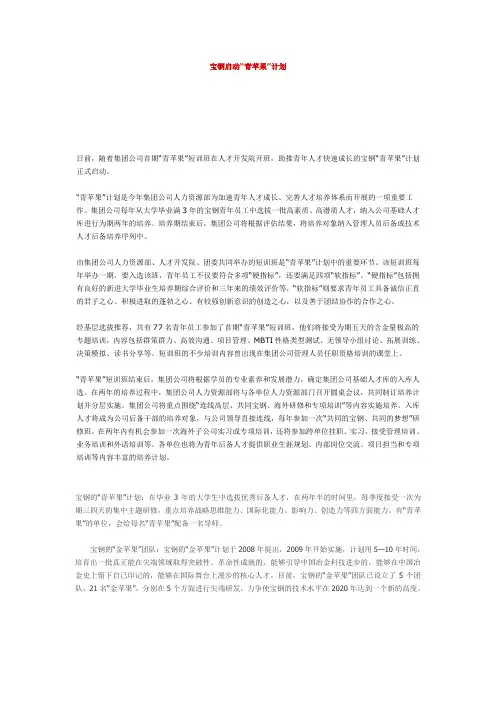 宝钢-人才培养