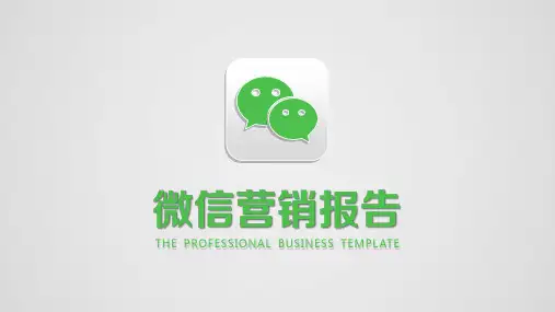 互联网商业创业计划书模板-16(PPT25页)