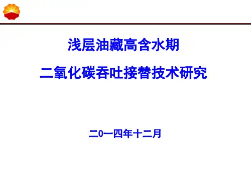 浅层油藏二氧化碳吞吐接替技术研究