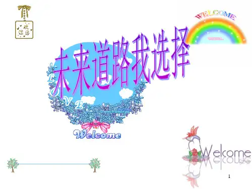 九年级政治 第十课第三框 未来道路我选择 人教版ppt课件