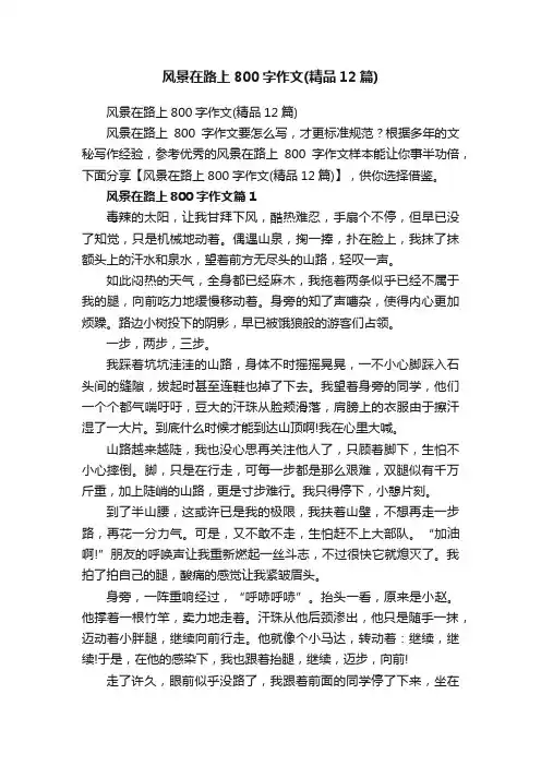 风景在路上800字作文（精品12篇）