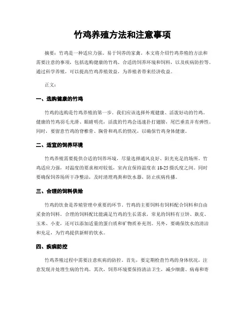 竹鸡养殖方法和注意事项