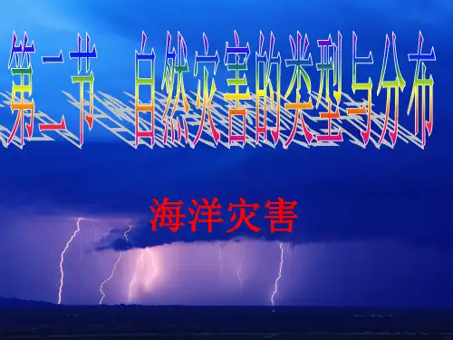 海洋灾害