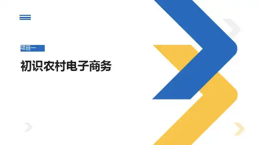 初识农村电子商务
