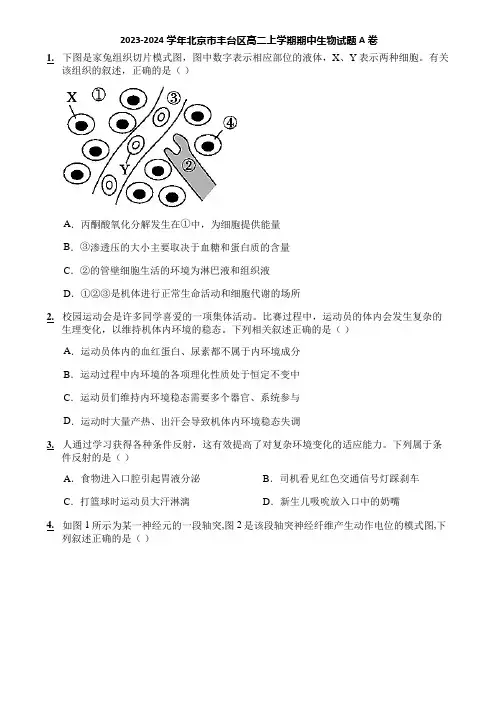2023-2024学年北京市丰台区高二上学期期中生物试题A卷