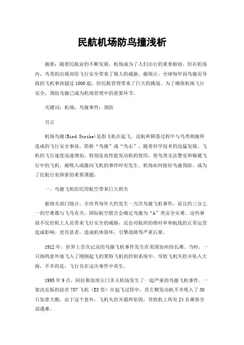 民航机场防鸟撞浅析