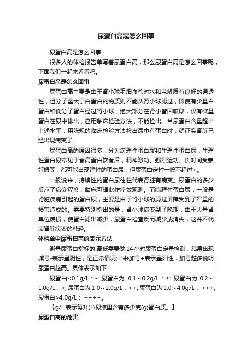 尿蛋白高是怎么回事