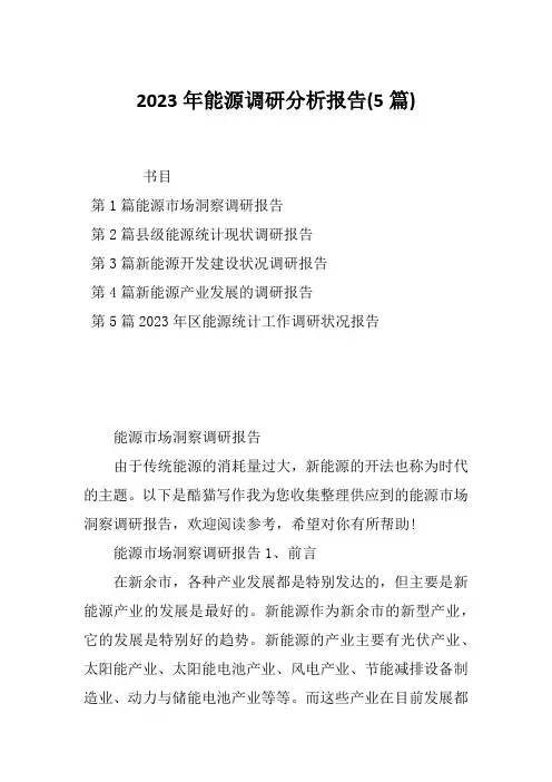 2023年能源调研分析报告(5篇)