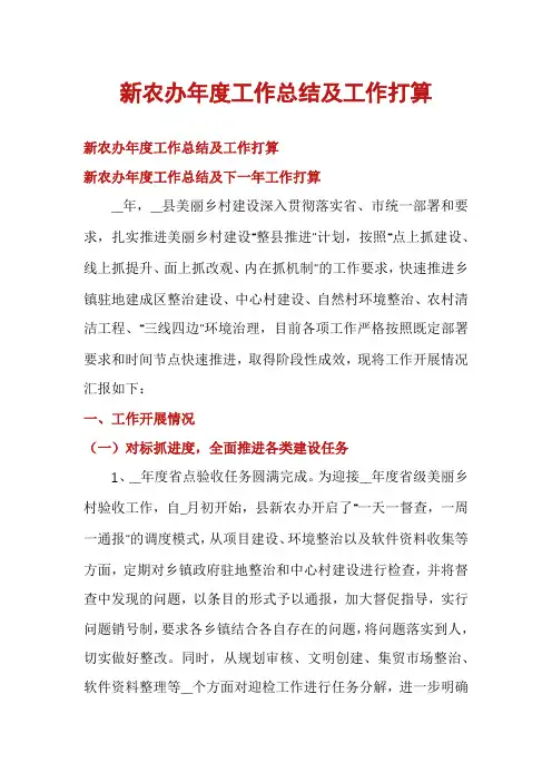 新农办年度工作总结及工作打算