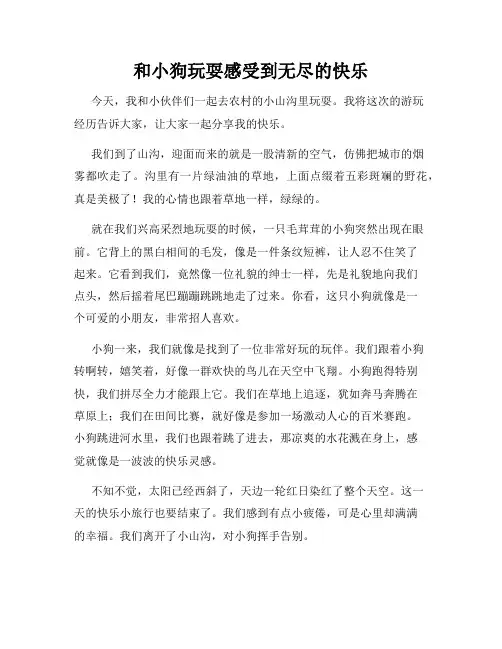 三年级作文那次玩得真高兴之和小狗玩耍感受到无尽的快乐