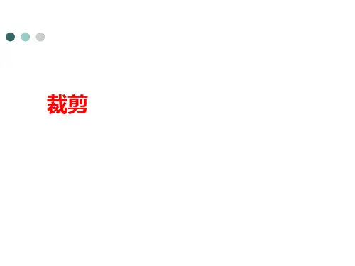 计算机图形学裁剪技术