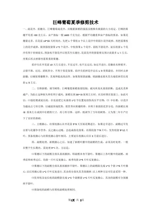 巨峰葡萄夏季修剪技术