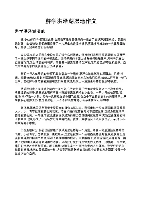 游学洪泽湖湿地作文