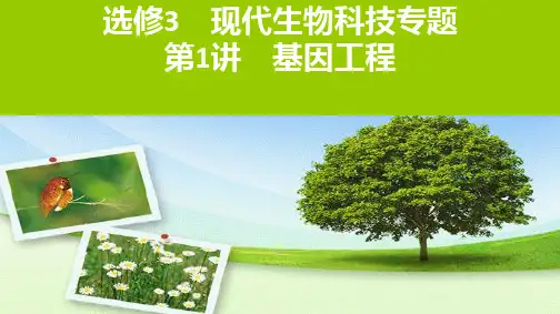 选修3基因工程ppt完美课件2021届高考生物一轮复习