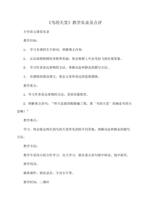 小学语文 《鸟的天堂》教学实录及点评