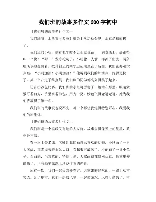 我们班的故事多作文600字初中
