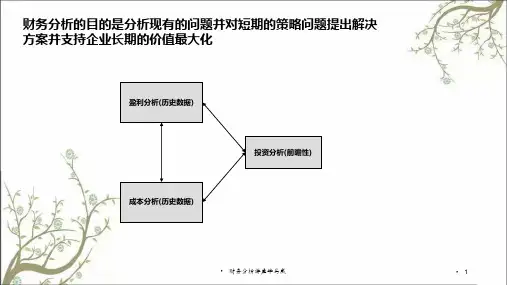 财务分析讲座毕马威课件