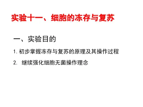 实验十一细胞的冻存与复苏 ppt课件