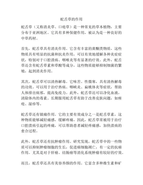 蛇舌草的作用
