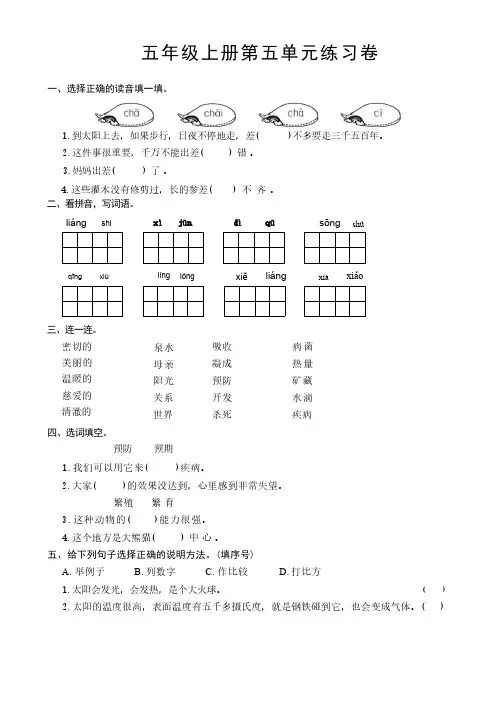 统编版2024-2025学年五年级上册语文第五单元单元测试(有答案)