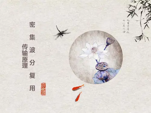 密集波分复用DWDH传输原理