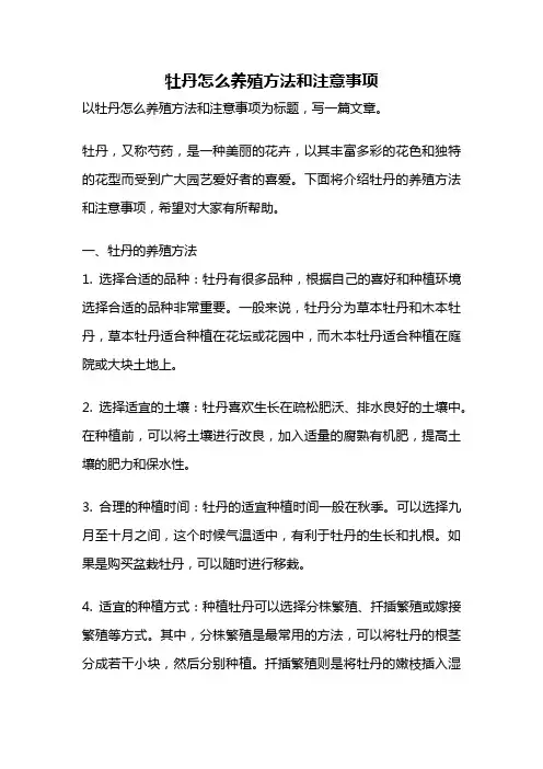 牡丹怎么养殖方法和注意事项