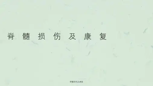 脊髓损伤及康复课件