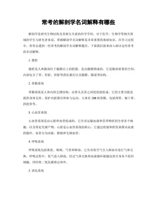 常考的解剖学名词解释有哪些