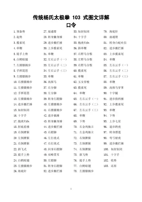 传统杨氏太极拳103式